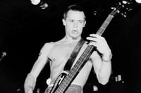 Flea  