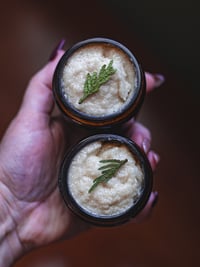 Image 1 of Winter Forest Sugar Scrub