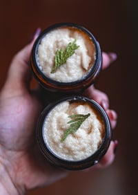 Image 4 of Winter Forest Sugar Scrub
