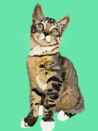 Image 7 of Digital pet portraits (full body)