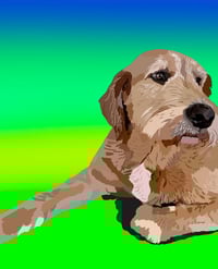 Image 10 of Digital pet portraits (full body)