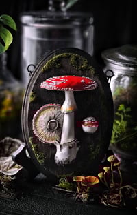 Image 2 of Amanita Muscaria Emerging with Cap