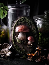 Image 2 of Boletes