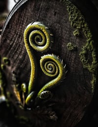 Image 3 of X-Large Fiddleheads