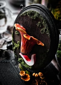 Image 3 of Lobster Mushroom