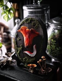 Image 1 of Lobster Mushroom