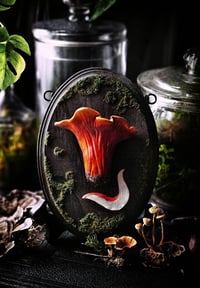 Image 2 of Lobster Mushroom