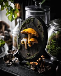 Image 1 of Sliced Chanterelle 