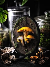 Image 2 of Sliced Chanterelle 