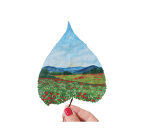 Image 1 of A gentle peace
