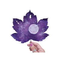 Image 1 of Cosmic (Framed)