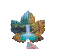 Image 1 of Autumn Falls (Framed)