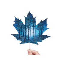 Image 1 of Deep in the woods (Framed)