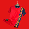 Spain '96 Home