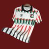 CD Palestino (Chile)