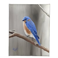 Image 1 of Eastern Bluebird - 8" x 10"