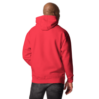 Image 8 of Men's Shield of Strength Hoodie