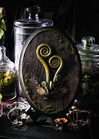 Image 2 of X-Large Fiddleheads
