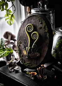 Image 1 of X-Large Fiddleheads