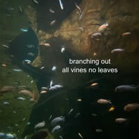 Branching out- all vines no leaves CD