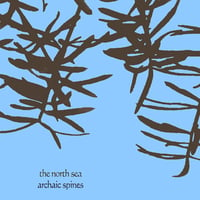 The North Sea - Archaic Spines CD