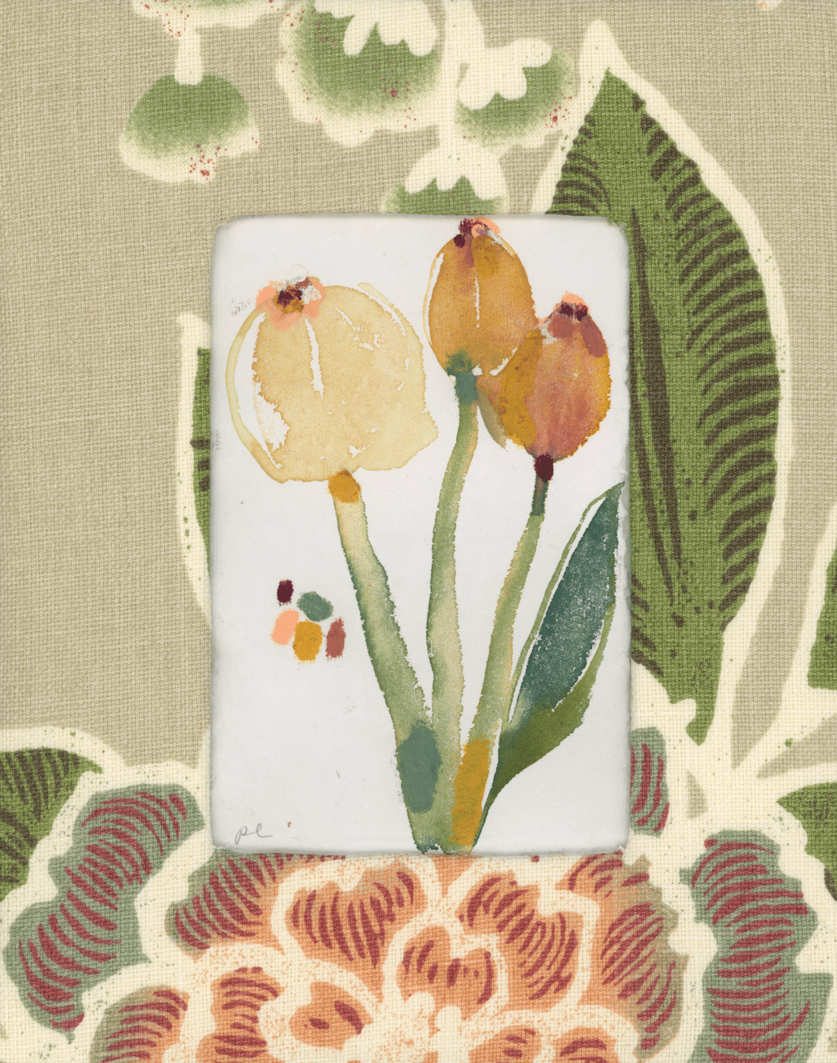 Image of Slow Seeds 4/23
