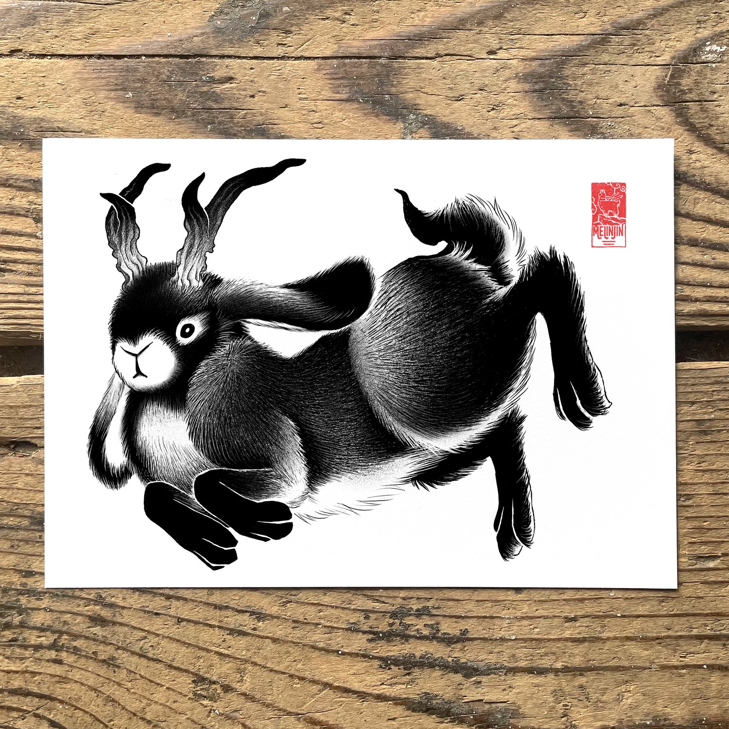 Jackalope