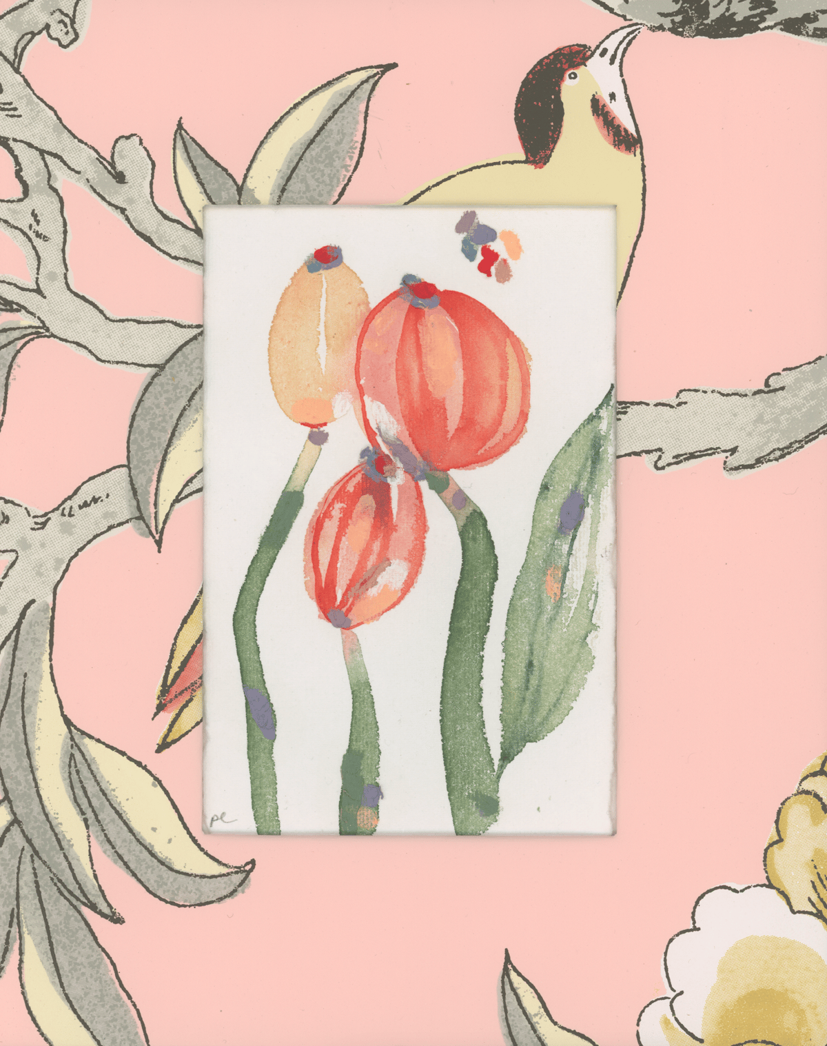 Image of Slow Seeds 21/23