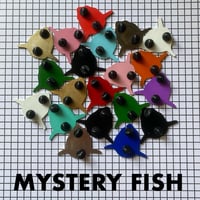 Image 1 of Mystery Fish