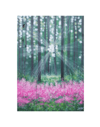 Image 2 of A light shines through