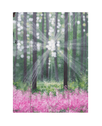 Image 4 of A light shines through