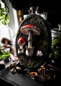 Image 1 of X-Large Amanita Veil
