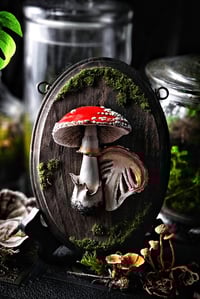 Image 2 of Sliced Amanita