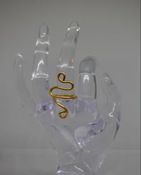 Image 2 of Snakes