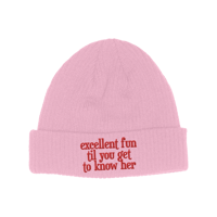 Excellent Fun Beanie