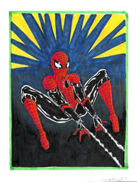 Image 2 of Spidey Set