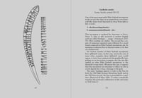 Image of The Elder Futhark: The Oldest Runes, 2nd Ed