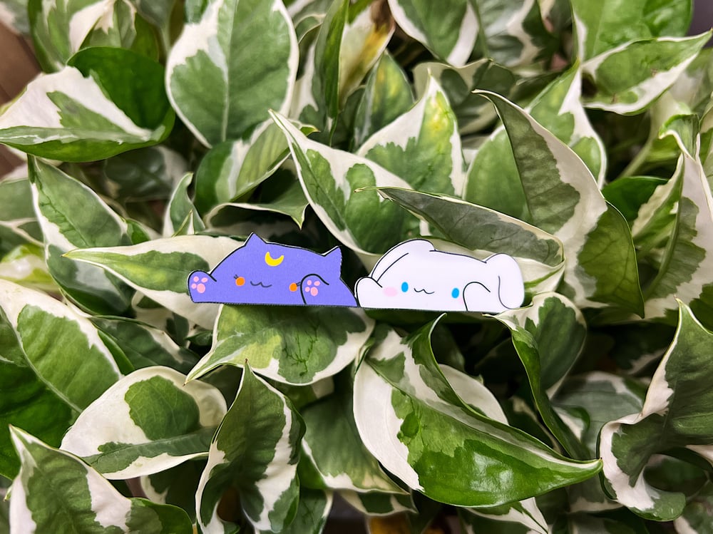 Image of Cinna Peeker Stickers