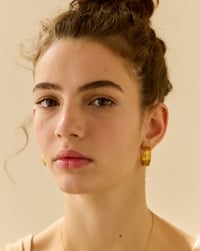 Image 6 of Pendietes Rosa M