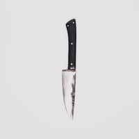 Image 4 of Office micarta