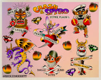 Crash/Spyro Flash Sheet