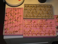 Image 3 of Snakes