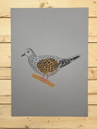Image 1 of Turtle Dove Print 