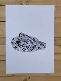 Image 1 of Adder Print