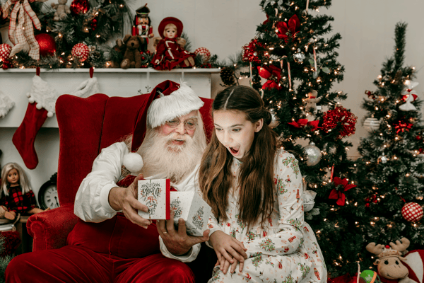 Image of Santa Session