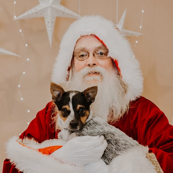 Image of Santa Pet Sessions