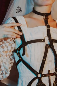 Image 3 of Harnais "Nobile"