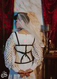 Image 5 of Harnais "Nobile"