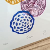 Image 3 of Trésors #1