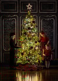 Image 2 of O Christmas Tree Mini Session 